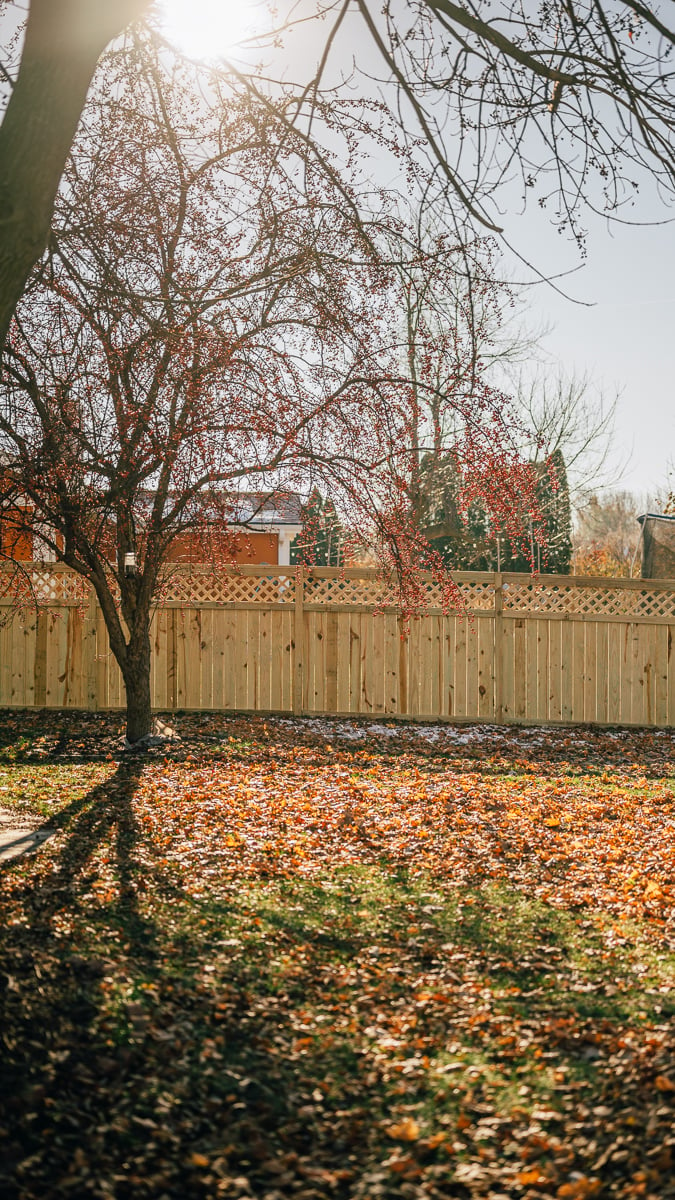 Milwaukee Fence Company: Fence installation with lattice on top